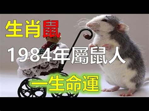 綠色五行|【綠色五行屬什麼】屬鼠的人穿這些顏色好運旺旺來! 綠色五行屬。